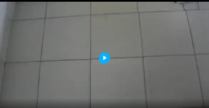 ABG Viral Wiwik Dengan Wanita Bule Cantik Disebuah Villa Mewah Bali Terbaru