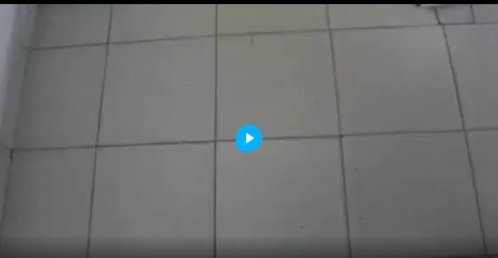 ABG Viral Wiwik Dengan Wanita Bule Cantik Disebuah Villa Mewah Bali Terbaru